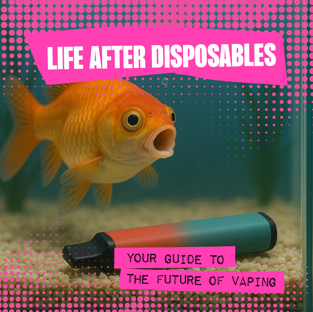 Life After Disposables: Your Guide to the Future of Vaping Life After Disposables: Your Guide to the Future of Vaping