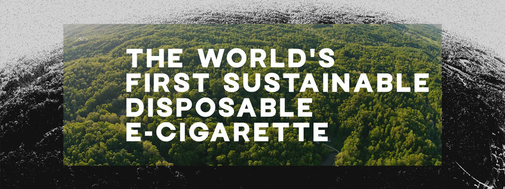 The World's First Sustainable Disposable E-Cigarette