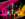 Riot E-Liquid
