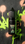 Kuro Momo Fuji vape bottle with neon green graffiti background and urban street-art aesthetic.