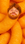 Riot E-Liquid